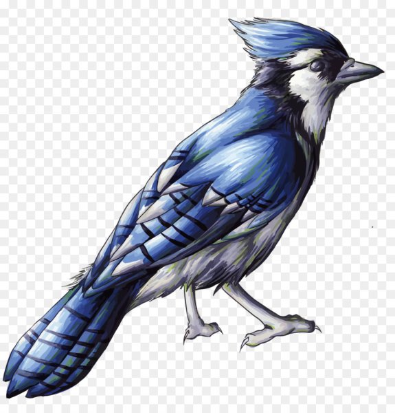 Птица рисунок