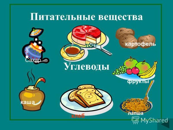Питательные вещества углеводы