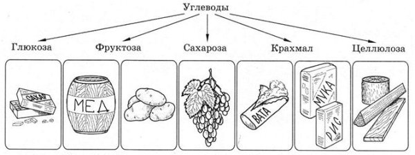 Сахароза крахмал Целлюлоза