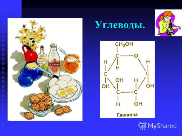 Углеводы рисунок