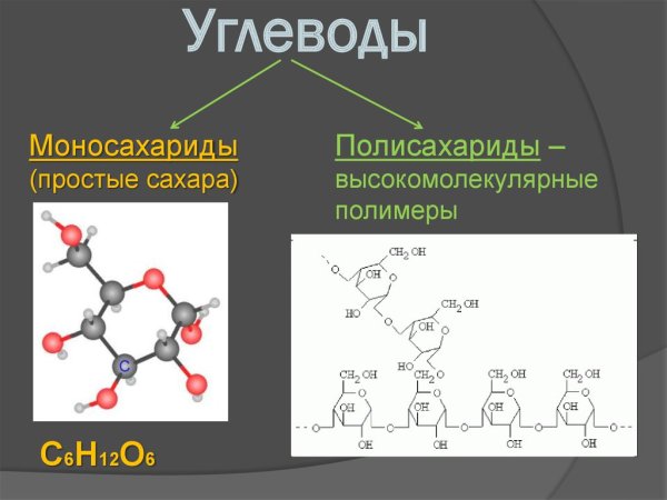 Химическое строение углеводов
