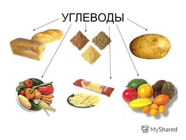 Углеводы в питании