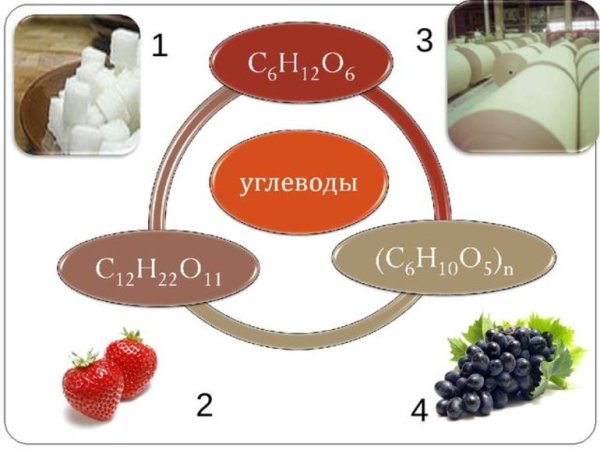 Углеводы химия