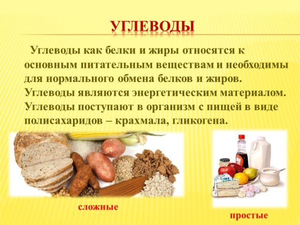 Белки жиры углеводы