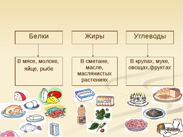 Где содержатся белки жиры и углеводы