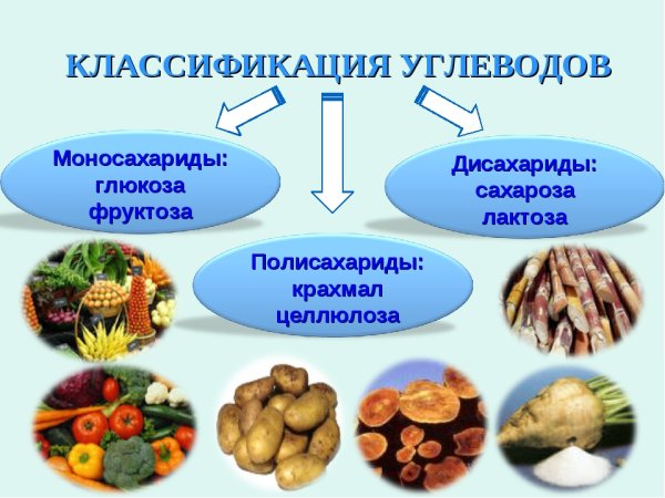 Углеводы классификация углеводов