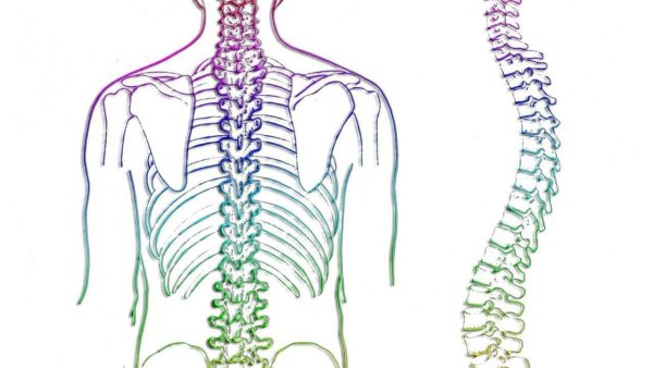 Тораколюмбальный сколиоз