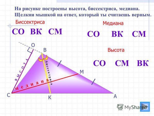 Построение высоты Медианы и биссектрисы в треугольниках