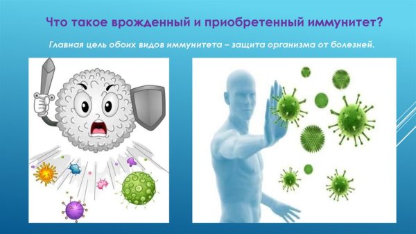 Рисунки на тему иммунитет