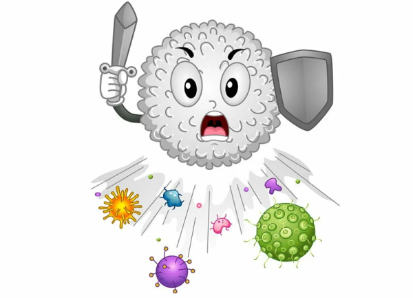 Защита организма от вирусов