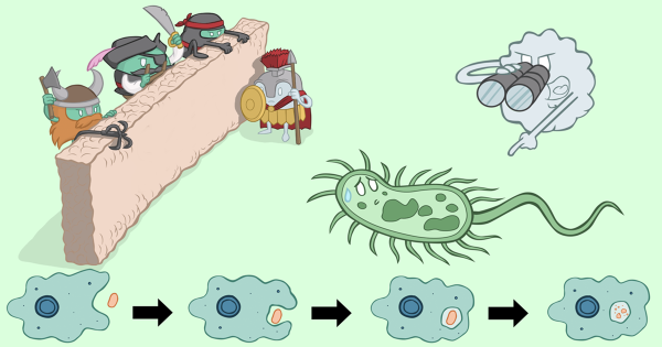 Рисунки на тему иммунитет