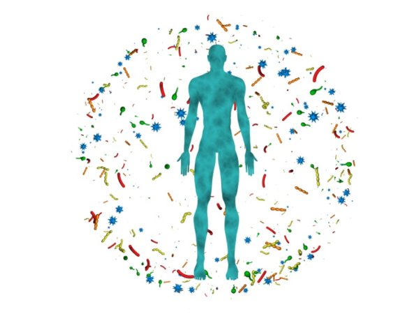 Иммунитет на белом фоне