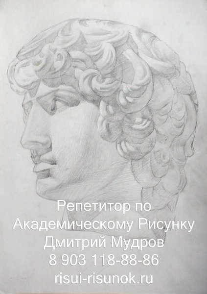 Гипсовая голова Антиноя МАРХИ