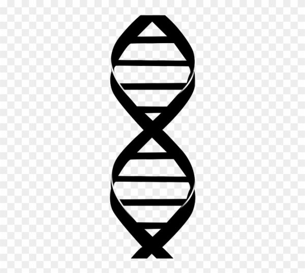 ДНК нарисовать