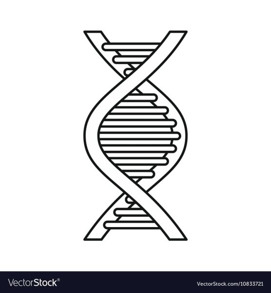 ДНК рисунок карандашом