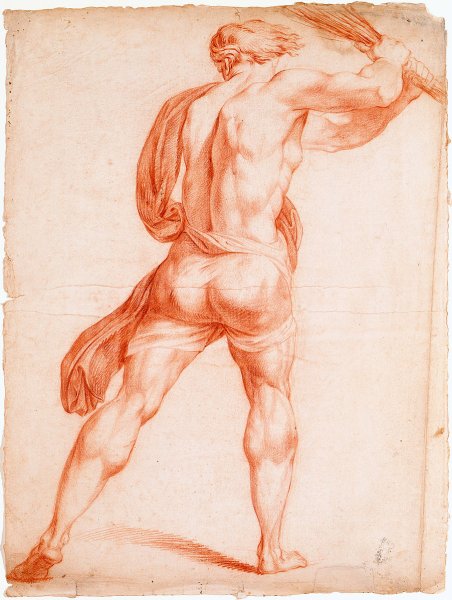 Андреа дель Сарто Наброски