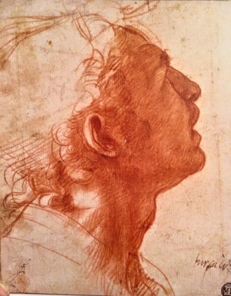 Портреты Графика Рафаэль Санти