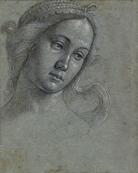 Андреа дель Сарто Наброски рук