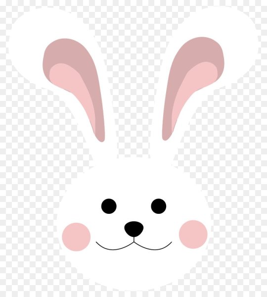 Мордашка зайца