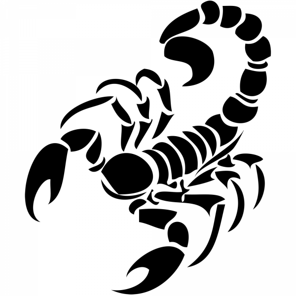 Тату Скорпион эскизы для мужчин