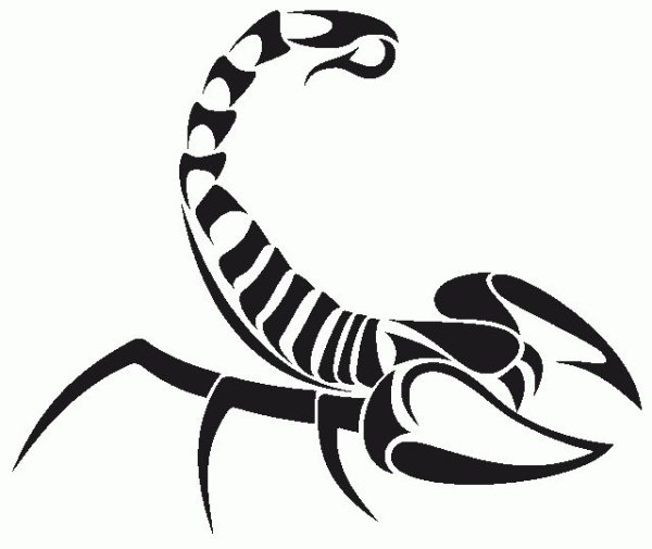 Татуировка Скорпион эскизы