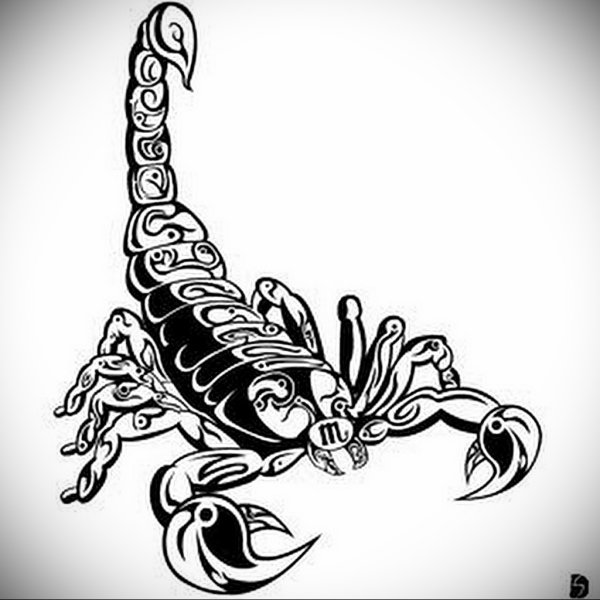 Красивый Скорпион