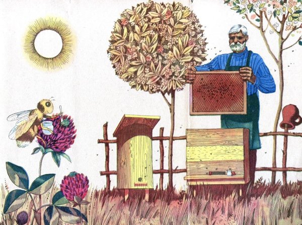 Пивоваров Виктор паучок и лунный свет