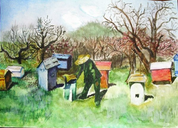 Пасека акварелью