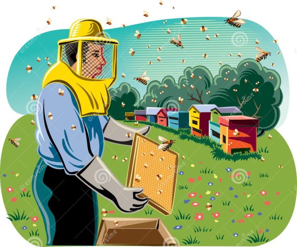 Пчеловод на белом фоне