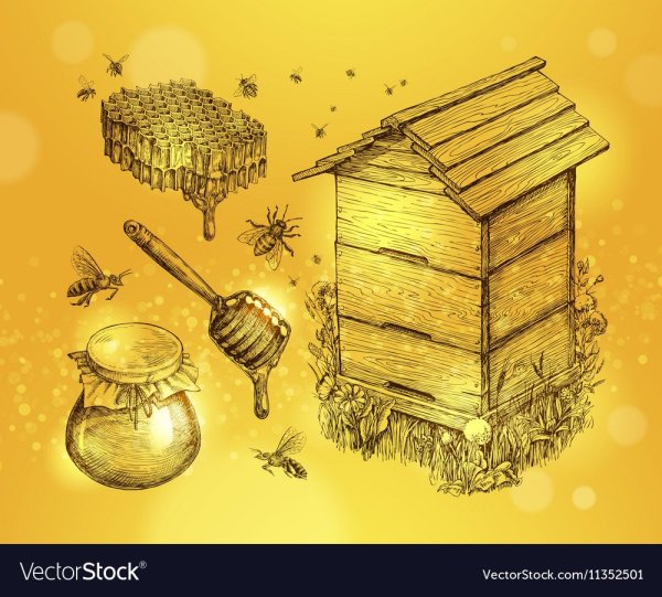 Рисование домик для пчел