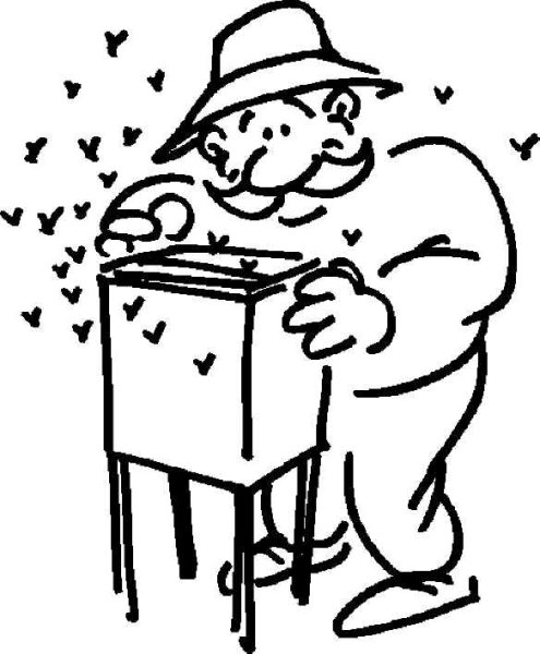 Пчеловод раскраска