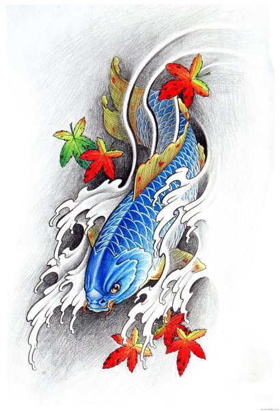 Рыбки кои тату