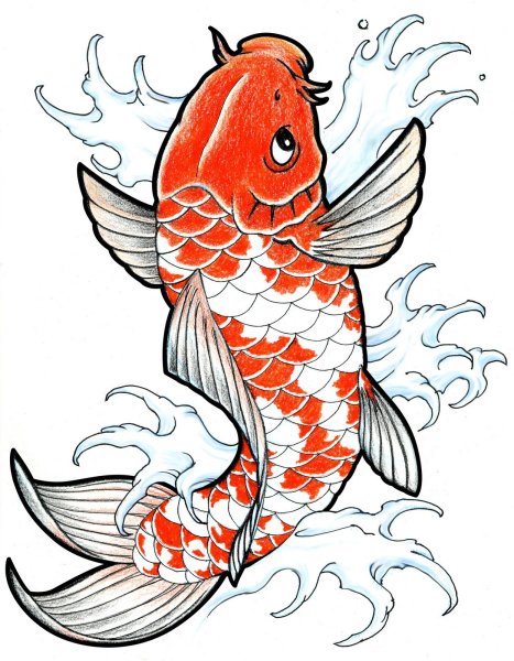 Карп кои эскиз