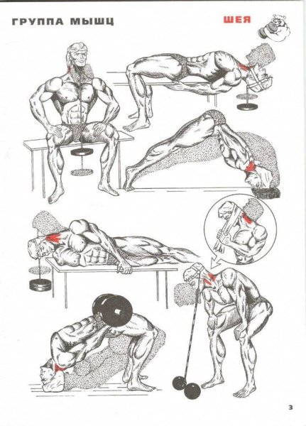 Упражнения для прокачки шейных мышц