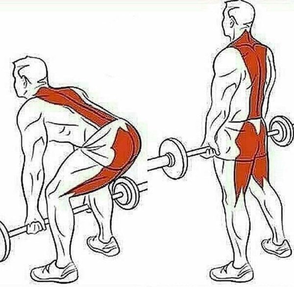 Упражнения для накачивания спины