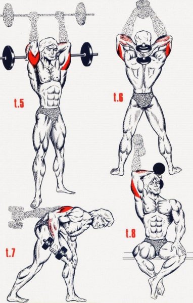 Упражнения для прокачки трицепса