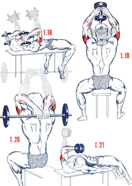 Схема накачки трицепса