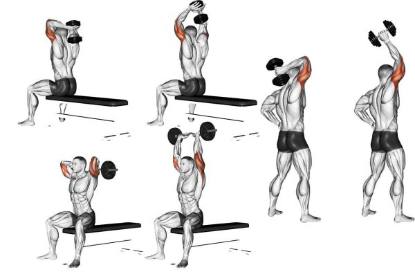 Как качать трицепс гантелями