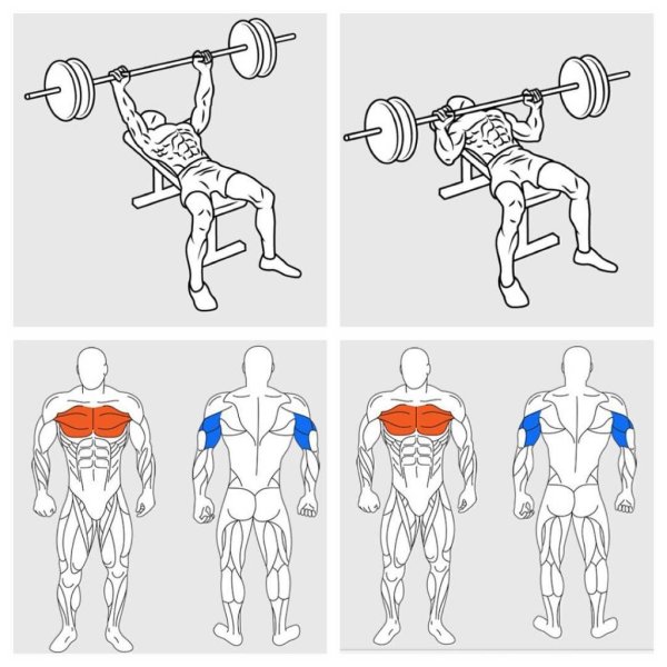 Упражнения для различных групп мышц