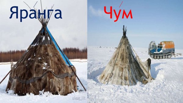 Яранга – национальное жилище народов Чукотки