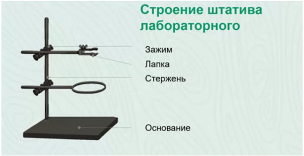 Строение лабораторного штатива химия
