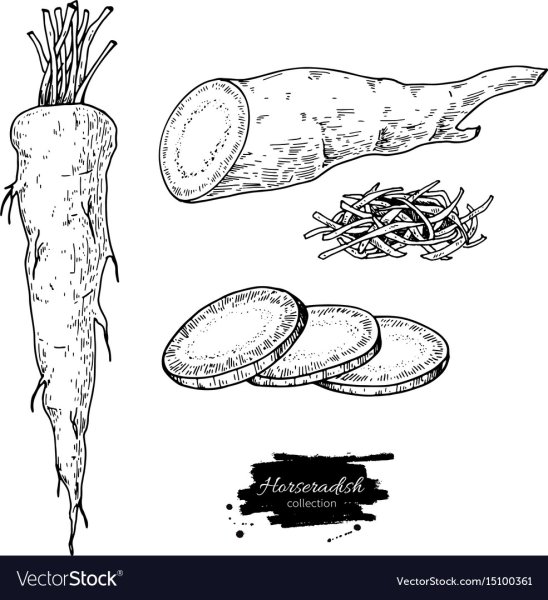 Корень хрена