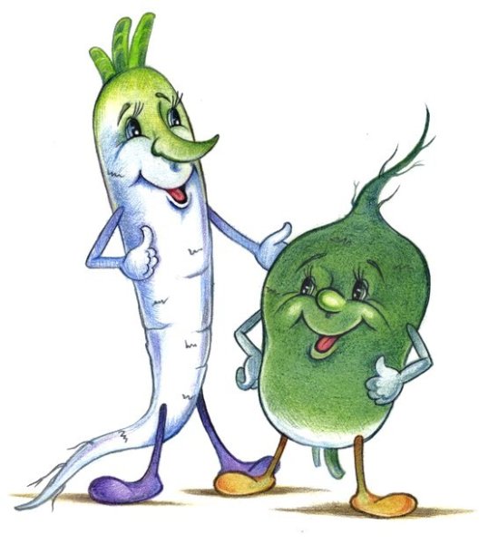 Редька мультяшная