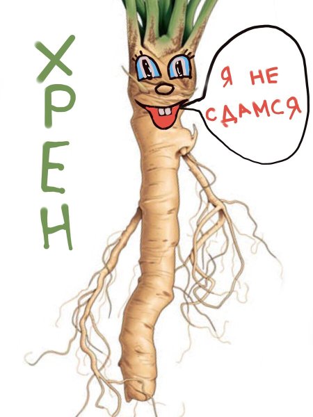 Хрен рисунок смешной