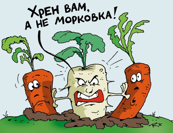 Морковка прикол
