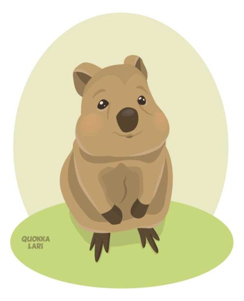 Квокка рисунок
