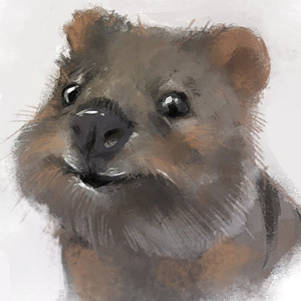 Квокка рисунок