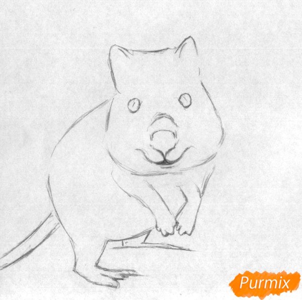 Квокка мультяшный