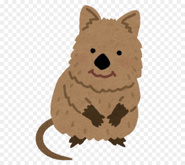 Квокка карандашом