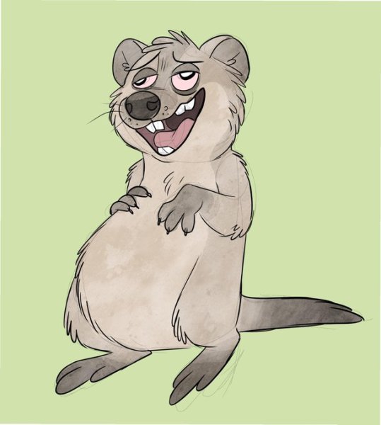 Квокка - стилизация в графике